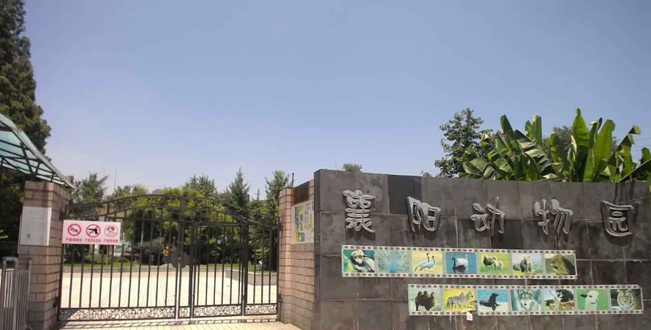 襄阳公园动物园