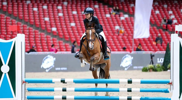 纵横马术培训俱乐部(丰台旗舰店)