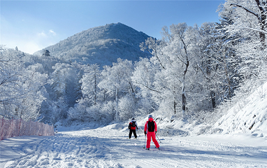 亚布力阳光度假村滑雪场第 29 张图片