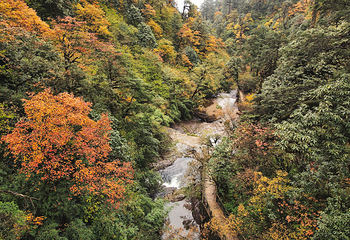 龙苍沟国家森林公园第 13 张图片