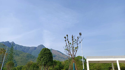 三清山-秀峰第 1 张图片
