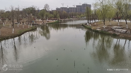 岳家湖公园第 3 张图片