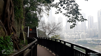 曾家岩临崖步道第 3 张图片