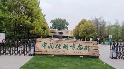 中国杨树博物馆第 1 张图片
