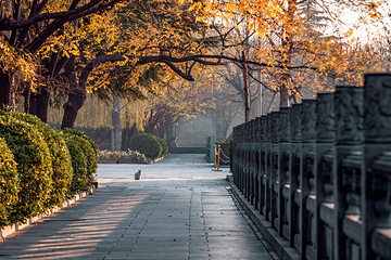 白马寺第 4 张图片