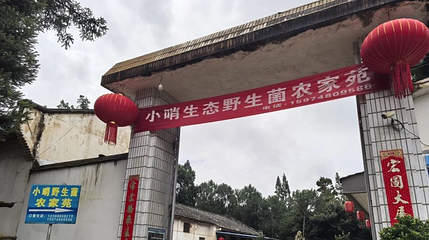 小哨野生菌生态旅游村第 1 张图片