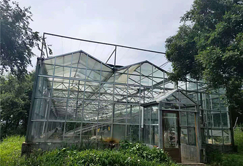 雾凇岛农场第 22 张图片