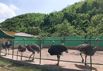 龙栖谷亲子游学农场第 8 张图片