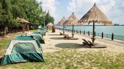 北海金海湾红树林生态旅游区第 24 张图片