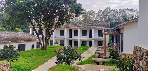 惠州盛花谷第 65 张图片