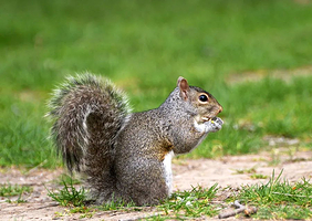 千青爱草仙龙园