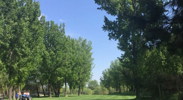 绿洲丰盈高尔夫俱乐部