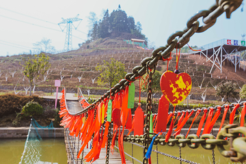 大观园乡村旅游度假区第 11 张图片