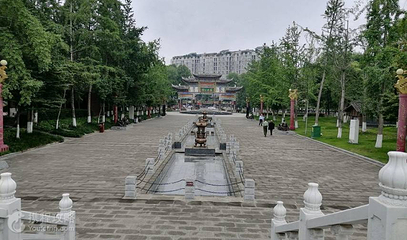 苏母公园第 5 张图片