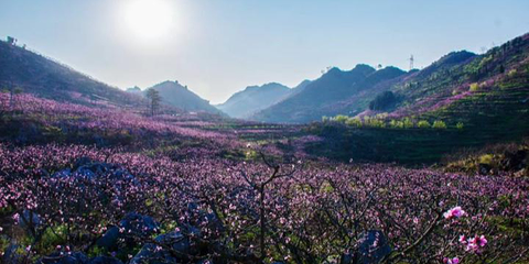 桃花谷景区第 1 张图片