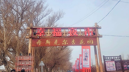 托克逊杏花园第 1 张图片