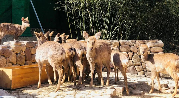 洛阳红山欢乐谷欢乐牧场