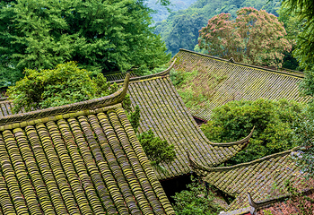 青城前山第 69 张图片