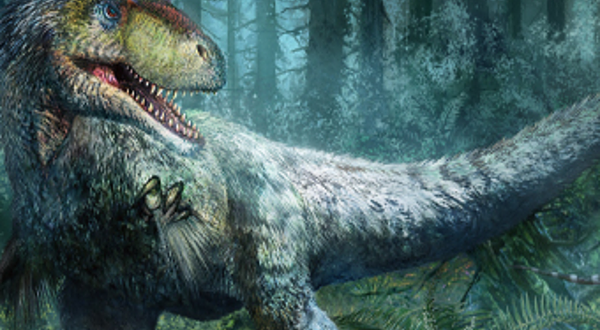 《恐龙文艺复兴》古生物化石大展