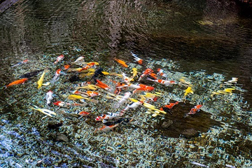 赤壁漂流第 28 张图片