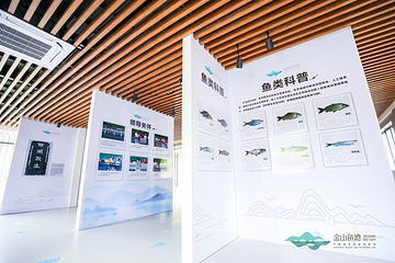金山鱼湾第 11 张图片