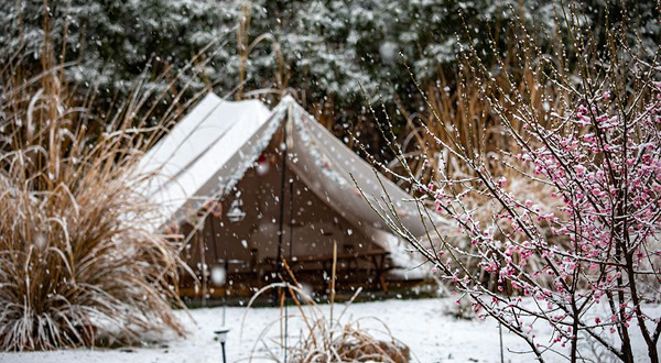 野录公园营地(山下美术馆店)