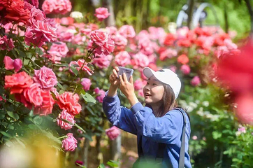 重庆红岭溪谷第 15 张图片