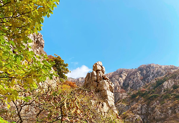 大黑山景区第 15 张图片