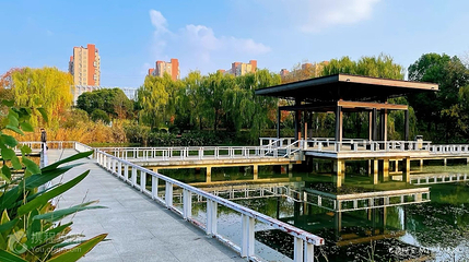 菊花博览园第 2 张图片