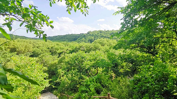 大清沟自然风景区