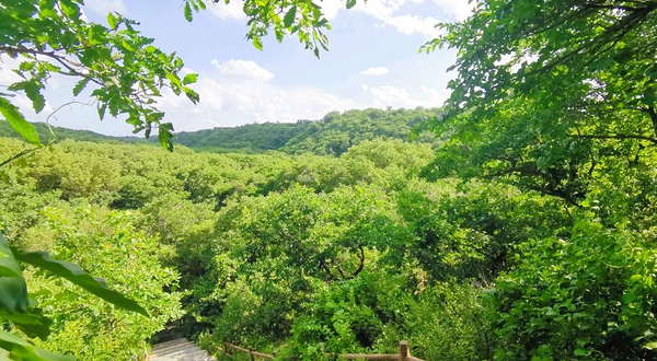 大清沟自然风景区