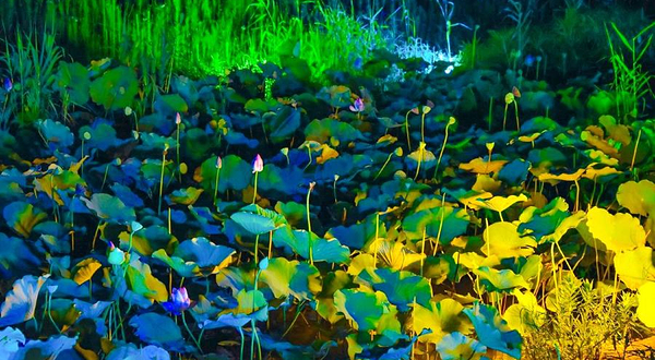 拈花湾禅行表演