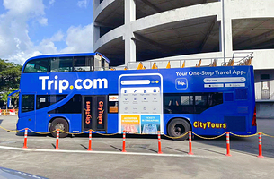 新加坡Citytours敞篷观光巴士