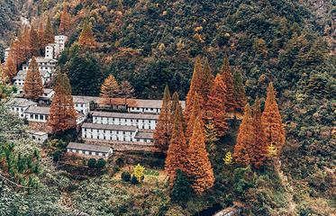 浙江大明山地质公园第 125 张图片