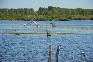 千鹤岛旅游风景区