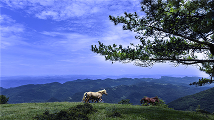 百里荒旅游度假区第 18 张图片