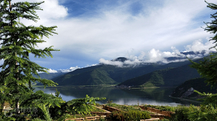 香格里拉高山植物园第 5 张图片