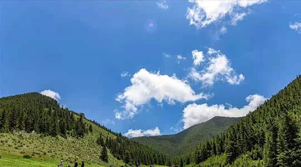 贺兰山广宗寺（南寺）生态旅游区第 43 张图片