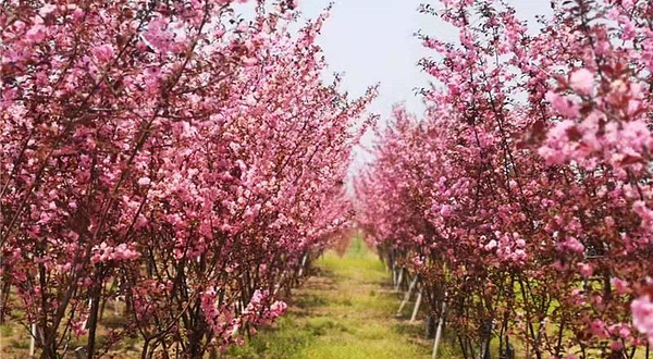 辽宁凤城草河国家湿地公园
