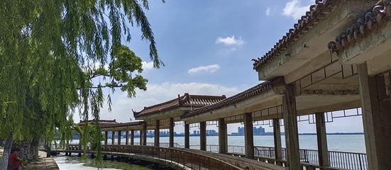 海埂公园第 14 张图片