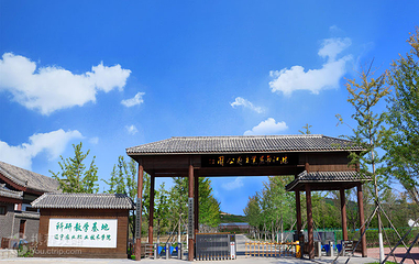 爸爸的农场第 8 张图片