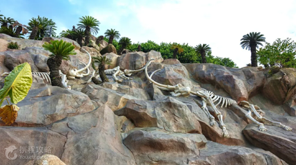 福建石岩植物园第 6 张图片