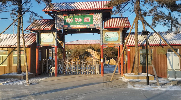 老爷车主题公园