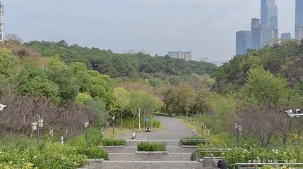 樱花谷主题乐园第 1 张图片