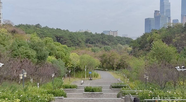 樱花谷主题乐园