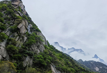华山第 185 张图片