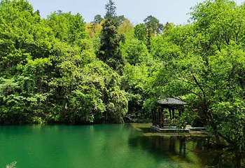 天目山自然保护区第 72 张图片