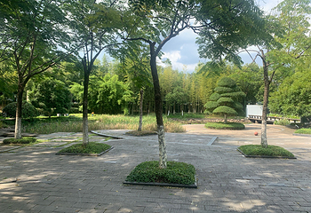 西湖风景名胜区第 486 张图片