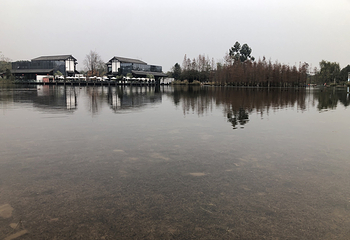 白鹭湾国家城市湿地公园第 9 张图片