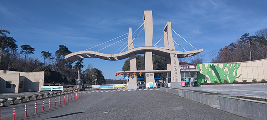 平山森林公园第 12 张图片